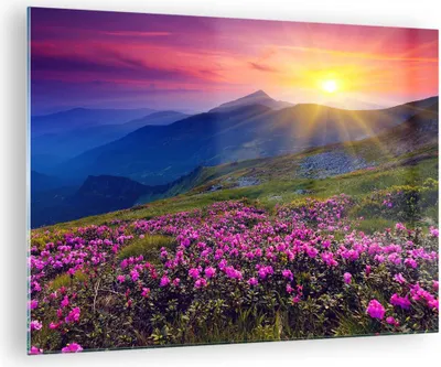 Produktbild von Bilder auf glas - Wiese Berge Landschaft - 70x50cm - Glasbilder - Wandbilder - Kunstdruck - zum Aufhängen bereit - Wanddekoration aus Glas - Glas Bilder - Wandbild auf Glas - Einteilig - GAA70x50-2676