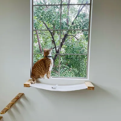 Produktbild von Katzenhängematte 36x33cm für Selbstbau-Katzenbänke und Katzenwand