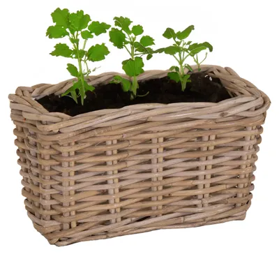 Produktbild von Mega Collections Pflanzenkorb Levi - Rattan - 30 x 15 x 17 cm