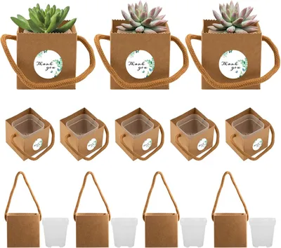 Produktbild von Sukkulenten Verpackung 20 Sets, 5,3x5,3x5 cm, Kunststoff, für Gastgeschenke