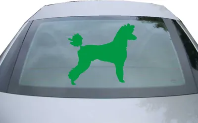 Produktbild von Indigos UG - Aufkleber Heckscheibe & Motorklappe DE7059 - grün - 600x539 mm - Pudel Caniche Hunderasse - Auto Scheiben Fenster Heckklappe Tuning Racing JDM - Die cut