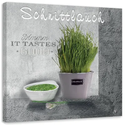 Produktbild von Leinwandbild Schnittlauch Küchengewürz 40x40 Feeby Grau bild für die wand bereit zum aufhängen