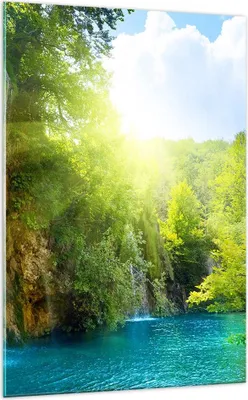 Produktbild von Bilder auf glas - Einteilig - Wasserfall Forrest Himmel - 70x100cm - Glasbilder - Wandbilder - Bilder - Wanddekoration aus Glas - Glas Bilder - Wandbild auf Glas - GPA70x100-0157