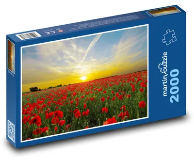 Produktbild von martinpuzzle - Puzzle 2000 Teile - Mohn - Feld