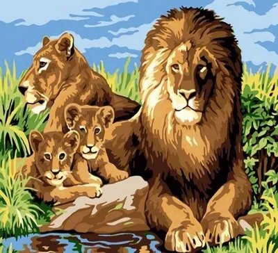 Produktbild von Malen nach Zahlen: Löwenfamilie, 40x50 cm