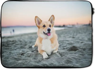Produktbild von MuchoWow® Laptop Hülle 14 ZollHund am Strand Laptoptasche - Laptoptasche - Stoßsicher - Schutzhaube