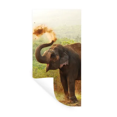 Produktbild von MuchoWow® Wandtattoo Wandsticker Wandaufkleber Elefant - Tiere - Wald - Bäume 40x80 cm Selbstklebend und Repositionierbar - Repositionierbar - Wasser abweisend
