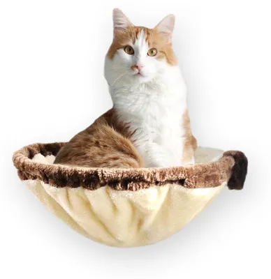 Produktbild von animal-design Wandmulde KUSCHELNEST Wandliege Katzenmulde Liege-mulde Plüschmulde beige oder grau, Farbe:beige/braun
