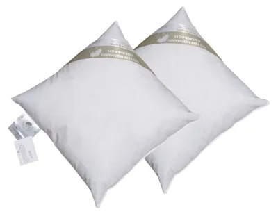 Produktbild von 2 Stück Betten Hofmann Kopfkissen 40x40 Kleinkissen Kuschelkissen 30% Daunen 200 g