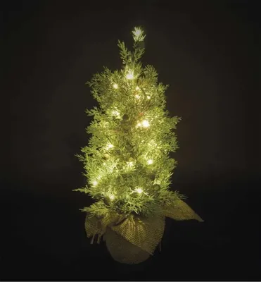 Produktbild von LED-Baum, 50 cm, außen und innen, warmweiß, Timer