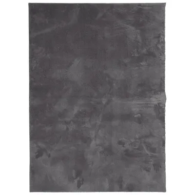 Immagine prodotto di vidaXL Tappeto HUARTE a pelo corto morbido e lavabile antracite 120x170 cm