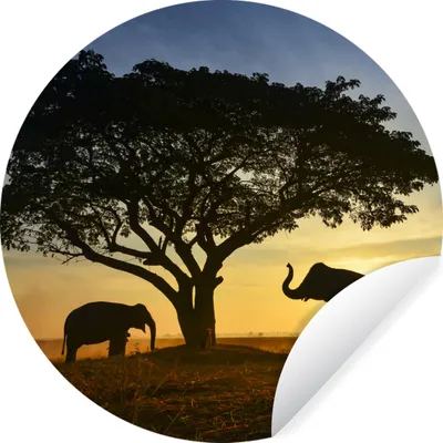 Produktbild von MuchoWow® Runde Wandtattoo - Wandsticker Tapete Aufkleber Elefant - Sonne - Afrika Ø 100 cm Selbstklebend und Repositionierbar - Wandaufkleber - Kreis - Tapetenkreis - Wandbild rund - Schlafzimmerdekoration - Wanddeko - runde Tapete - Kunst für zu Hause