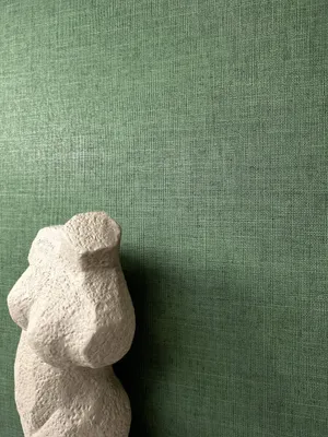 Produktbild von NEWROOM Tapete Indritt Grün Vliestapete - Uni Unifarbe Stoff-Optik  Germany