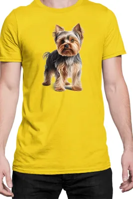 Produktbild von Herren T-Shirt Dogs Breeds Yorkshire Terrier Dog Breed 005, Man S / Gelb