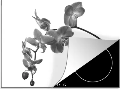 Produktbild von KitchenYeah© Herdabdeckplatte Orchidee vor weißem Hintergrund - schwarz und weiß , 75x52cm, Küche Deko, Glaskeramikkochfeld Herdabdeckung, Abdeckplatte fùr Kochfeld