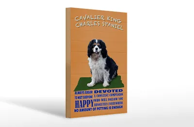 Produktbild von Holzschild Spruch 20x30cm Cavalier King Charles Spaniel orange