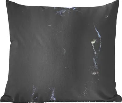 Produktbild von MuchoWow® Zierkissen Sofakissen Wohnzimmer Dekokissen 50x50 cm Panther - Tier - Schwarz - Komfort - Sofakissen
