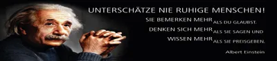 Produktbild von vianmo Blechschild 10x46 cm Einstein Zitat Unterschätze nie ruhige Menschen