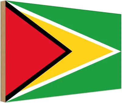 Produktbild von vianmo Holzschild 30x40 cm Guyanas Guyana Flagge Fahne Wappen
