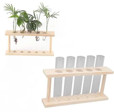 Produktbild von Transluzente Glas-Plantenbak 5 Stück - Holzstandard - Reaktionsbügel- Terrarium - Wohnaccessoire - 22 x 12,5 x 4,5 cm