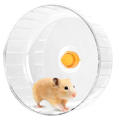 Image de Roue d'exercice silencieuse pour hamster, de 21 cm, transparente, pour petits animaux