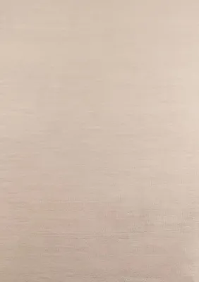 A plain, textured background.