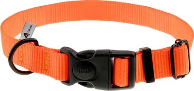 Immagine prodotto di Obroża z taśmy 4wild 25 mm 37-57 cm neonowa pomarańcza