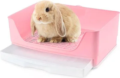 Produktbild von Famanu Katzenklo Ecktoilette für kleine Tiere - Rosa oder Blau