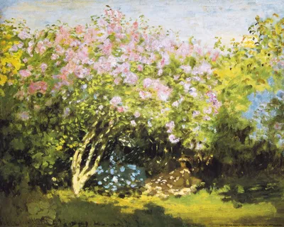 Zdjęcie produktu dla Claude Monet Art Print Obraz - Kwitnące bzy w słońcu, 1873 (40 x 50 cm)