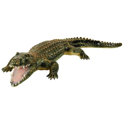 Image de Krokodil Soft Touch, 60cm