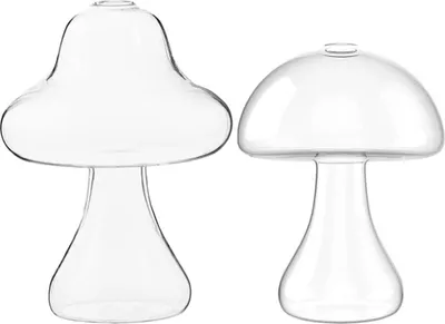 Produktbild von Glas Pilzvase - Geometrisches Terrarium Hydrokultur Pflanzvasen