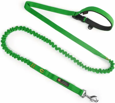 Image de JoQu Two Runners Leash laisse de chien amortissant les chocs vert