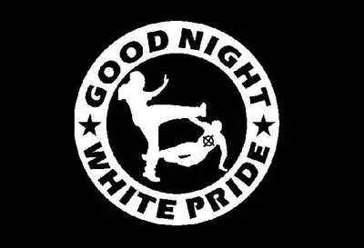 Imagen del producto de Buenas noches, "Orgullo Blanco" - Bandera, diseño en blanco y ; 150 x 100 cm