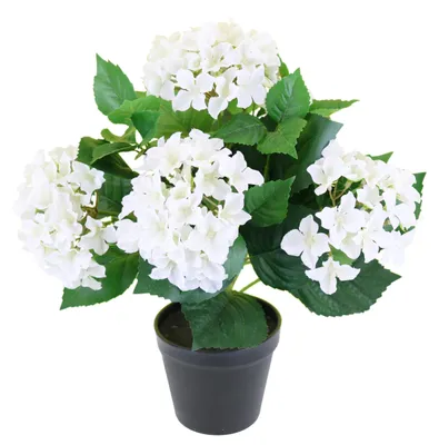 Productafbeelding van Kunsthortensia wit in pot – 40 cm – Realistisch kunstplant met bloemen