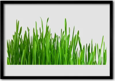 Produktbild von Bild 70x50 MDF-Rahmen Wandkunst Gras Natur Pflanze