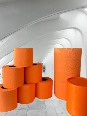 Produktbild von VIVA ORANGE - LUXURY Set 3tlg. deSIGN WC Papier geprägt - XXL Handtuchrolle / Küchenrolle - Taschentuch / Kosmetik Zupfbox - color your Life