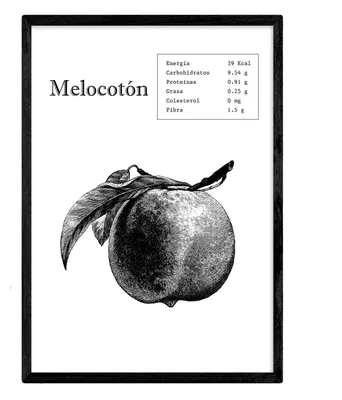 Poster Pfirsich Obst Gemüse A4 Hochformat