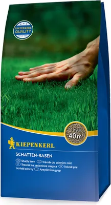 Produktbild von Kiepenkerl Rasensamen Schattenrasen 1 kg für 40 m²