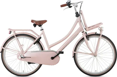 Produktbild von Popal Transport Fahrräder Kinder Daily Dutch Basic+ 26 Zoll 45,5 cm Mädchen 3G Rücktrittbremse Lachsfarben