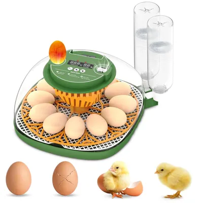 Brutmaschine für 12 Eier, vollautomatisch, grün