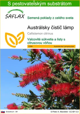 Obrázok produktu pre SAFLAX - Austrálsky čistič lámp - Callistemon citrinus - 400 Semená - S pestovateľským substrátom bez klíčkov