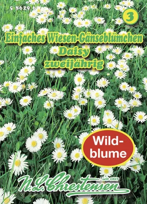 Produktbild von Tausendschön Daisy | Blumensamen von N.L. Chrestensen
