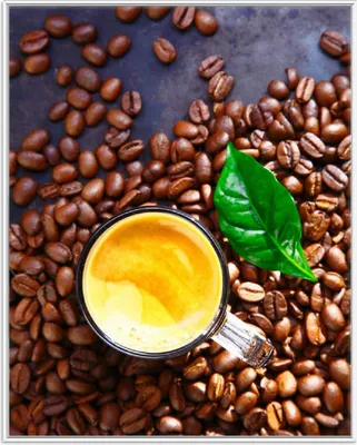 Produktbild von Wallario Wandbild Kaffee und Bohnen, Größe: 40,30 x 50,30 cm, Poster mit weißem Aluminiumrahmen
