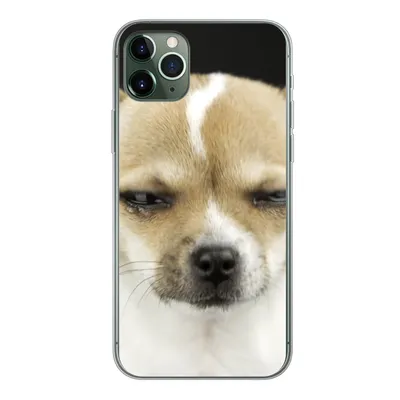 Produktbild von MuchoWow® Handyhülle Schutzhülle Hülle für iPhone 11 Pro Max Weinender Hund auf schwarzem Hintergrund Silikon Softcase Handy Hülle