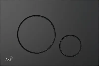 A black flush plate with two circular buttons for a toilet.