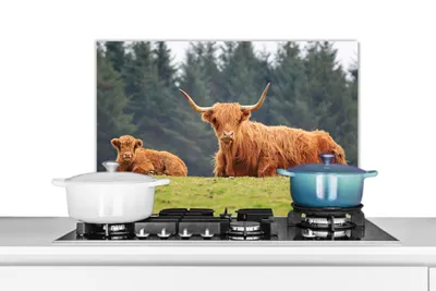 Obrázok produktu pre MuchoWow® Splashback Kuchyňa - Kuchynský backsplash - Ochrana steny pre sporák a drez Škótsky horal - Slnko - Tráva 60x40cm Alu-Dibond (alternatíva k