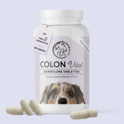 Produktbild von Colon Vital Tabletten 120 Stück - Darmflora Tabletten für Hunde - Darmflora beim Hund aufbauen und stärken - Darmkur Hund - Probiotika für Hunde