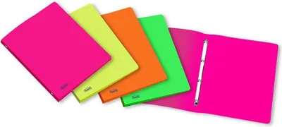 Immagine prodotto di Favorit 400066847 raccoglitore ad anelli 200 x 300 mm Verde, Arancione, Rosa, Giallo