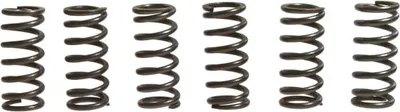 Immagine prodotto di Kit 6 molle frizione EBC CSK015