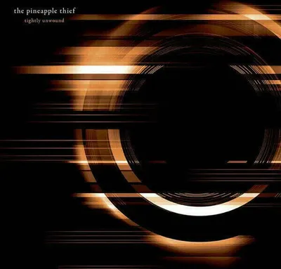 Produktbild von The Pineapple Thief - Tightly Unwound (2 LP)